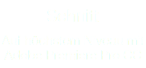 Schnitt Auf höchstem Niveau mit Adobe Premiere Pro CC